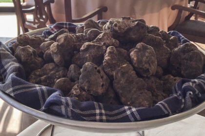 Man Bites Truffle: Eating and Drinking in Piedmont in Late Fall