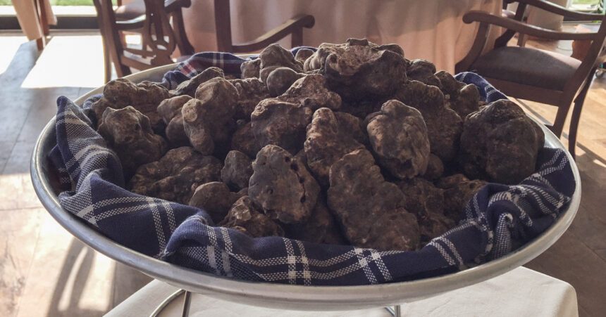 Man Bites Truffle: Eating and Drinking in Piedmont in Late Fall